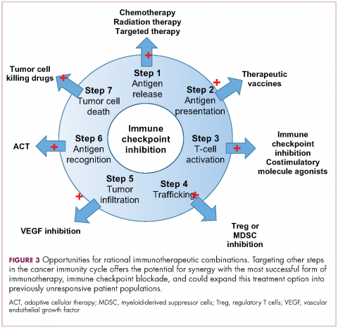 Figure 3. Immunotherapies. Opportunities for rational immunotherapeutic combinations.